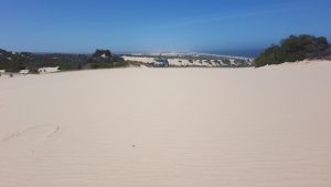 Jeff and Micaela in their Prado cresting a dune.