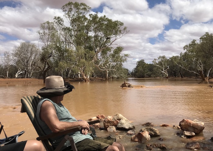 A couple of cows , too timid to walk past the Support Crew seated on the crossing, swam the river.