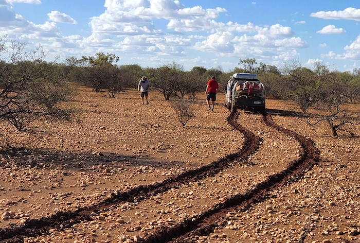 Navara and trailer bogged.