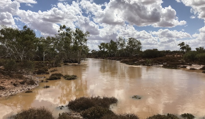 Murchison River at Manfred.