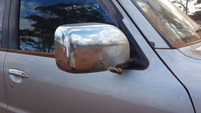 This stake speared into the mirror frame.