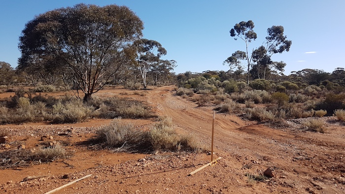 End of the Gus Luck Track.