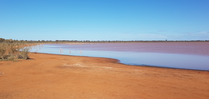 Rowles Lagoon