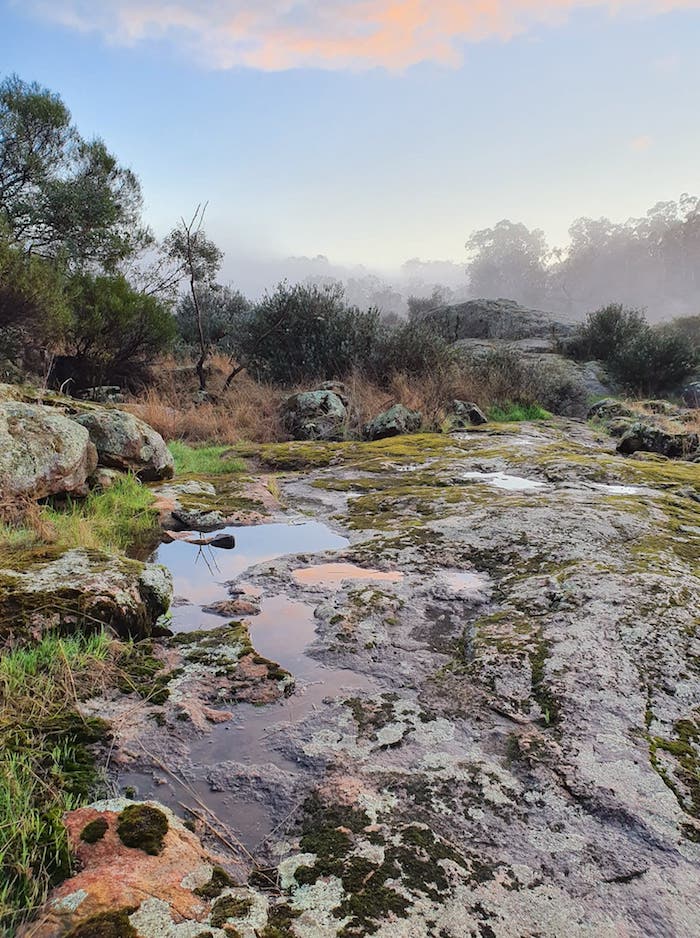 Along pathway to 'The Slide'.