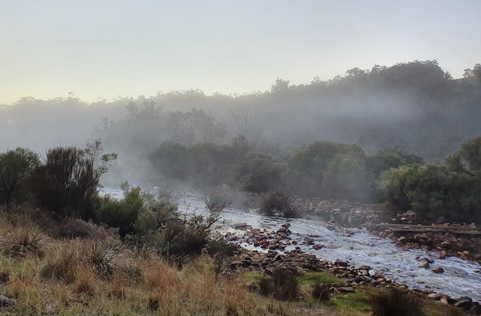 Blackwood River early morning.
