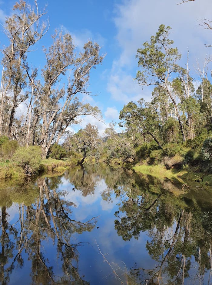 Blackwood River at Winnejup.