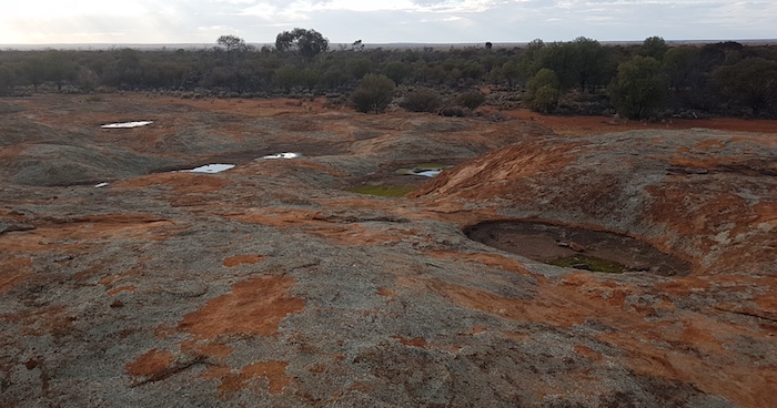 Gnammas on Kurrajong Rockhole.