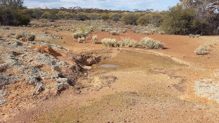 A natural water catchment across a gully.