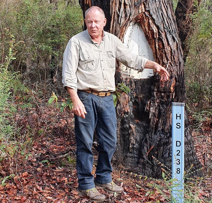 Kim explains how forestry survey trees were used to locate position.