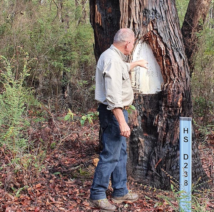 These trees have been superseded by the use of GPS.