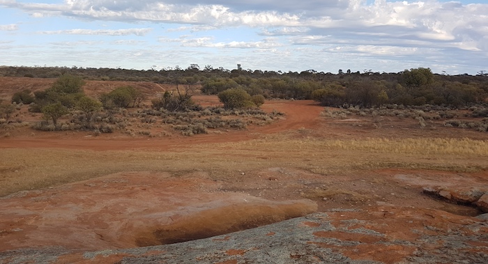 A track to the north from Kurrajong.