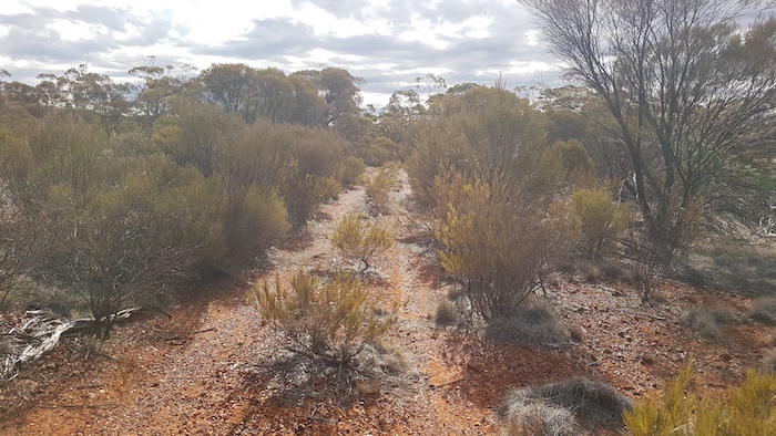 Wheelmarks improved into an easily followed track.