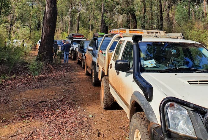 In the bush near Deanmill.