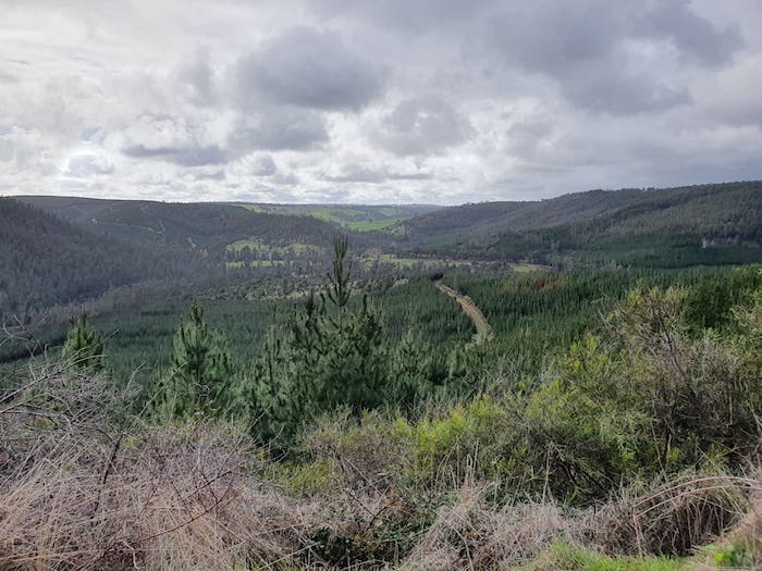 The track leading up the hill was blocked but the views were good.