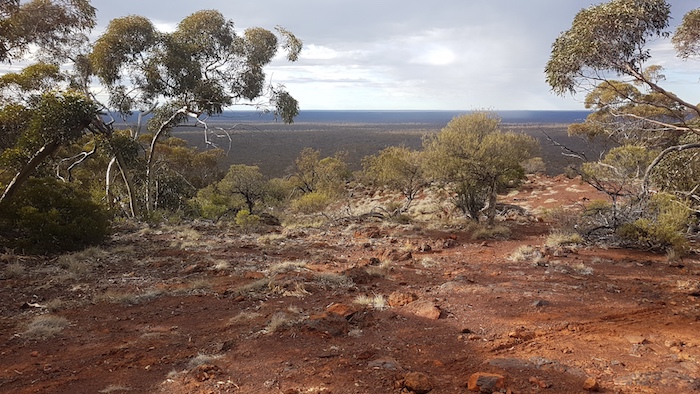 View from the top of Bungalbin.