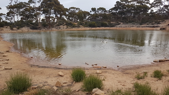 Dam at Mcpherson Rock.