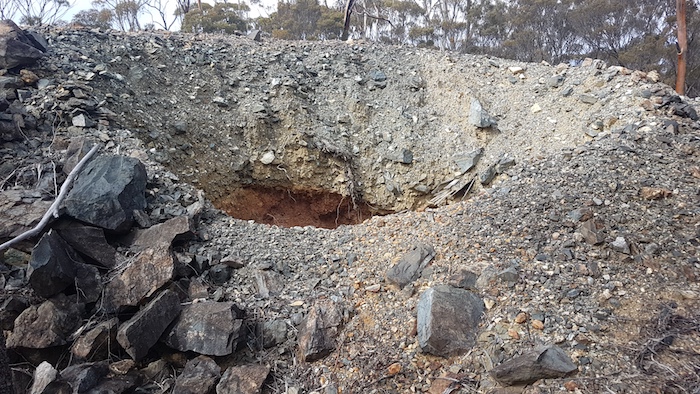 One of the many diggings at Dundas.