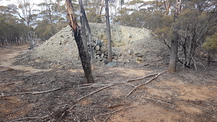 One of the many diggings at Dundas.