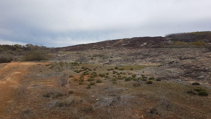 Moir Rock