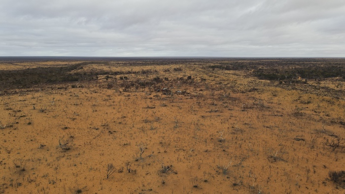 Burnt out country near camp.