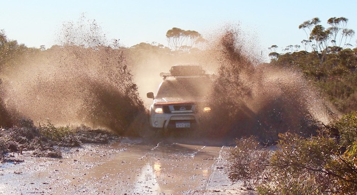 Mushy makes a splash.