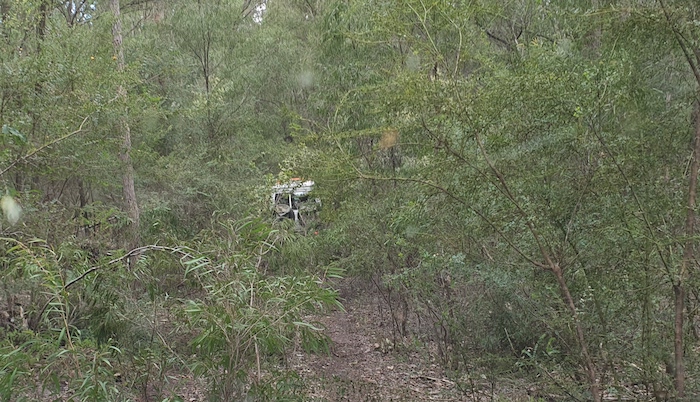 At three years since any substantial traffic had been on the track - possibly longer.