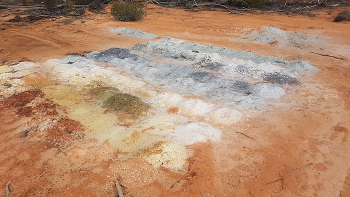Remains of bore sampling. It would appear that IGO are searching for nickel.