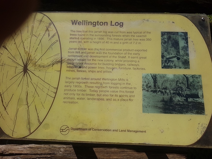 The Wellington Log