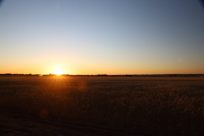 East Pithara sunset.