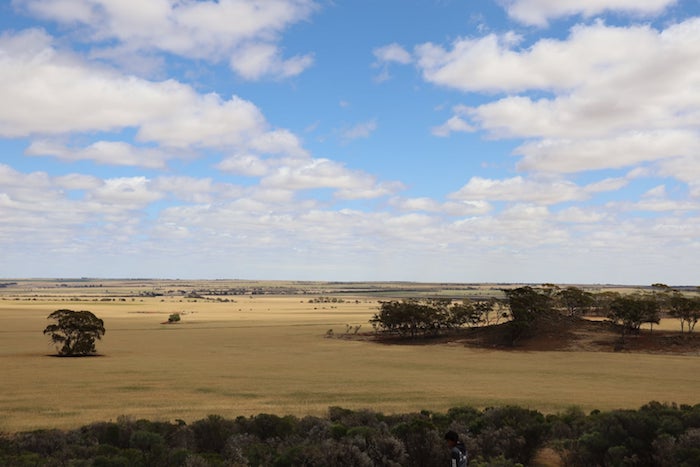 View from Buntine Rock.