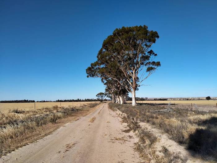 Back road in the lake country south of Kellerberrin.