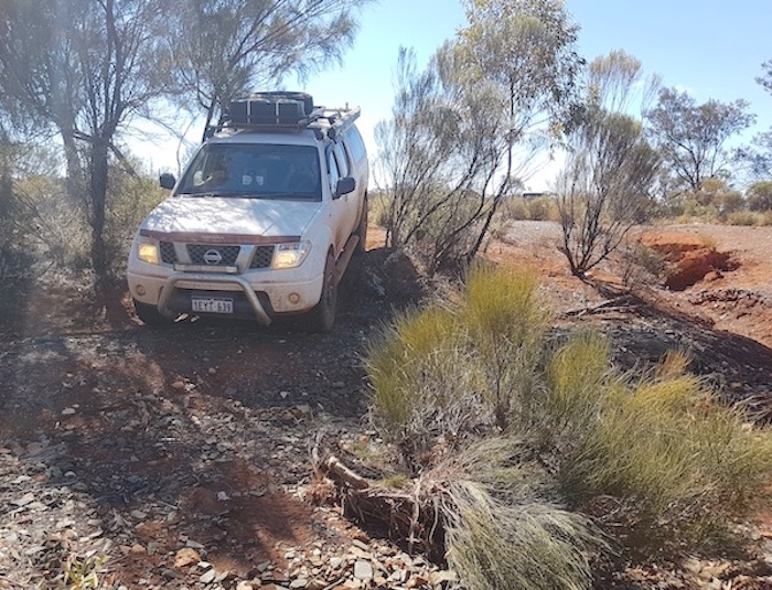 Mushy and Ray through the creek.