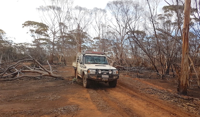 Scott didn't take the detour.