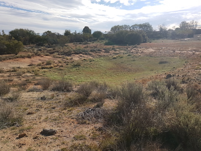 Disused and unmaintained dam on what was once Credo Station.