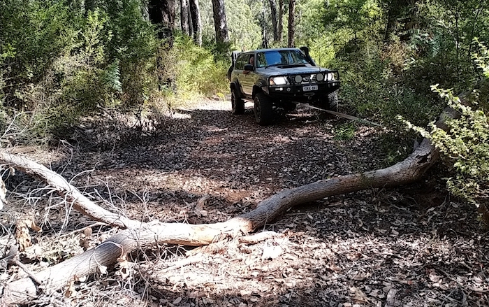 Log removed at first blockage.