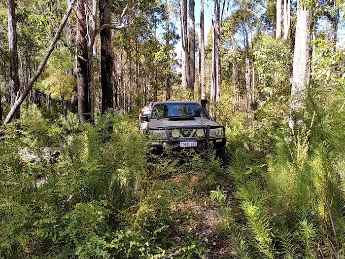 Following an old overgrown track.
