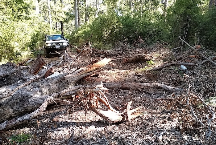 Kept working away at it.