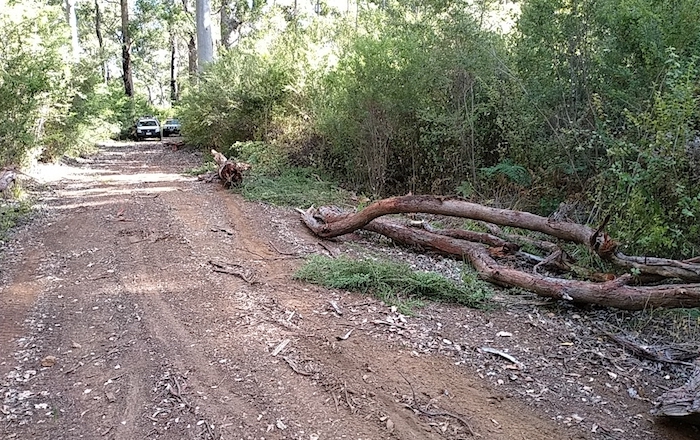 Seven logs were dragged out of the entanglement and positioned on the edge of the track.
