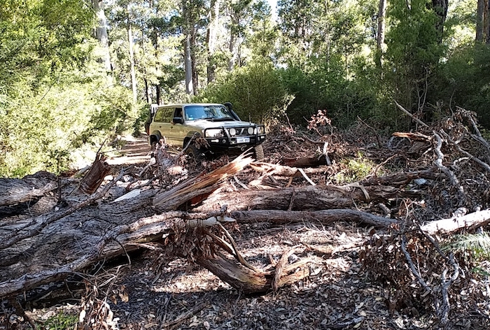 It looked worse than it was.