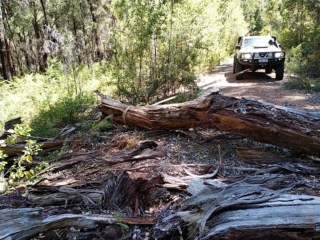 Scott moved the first log.