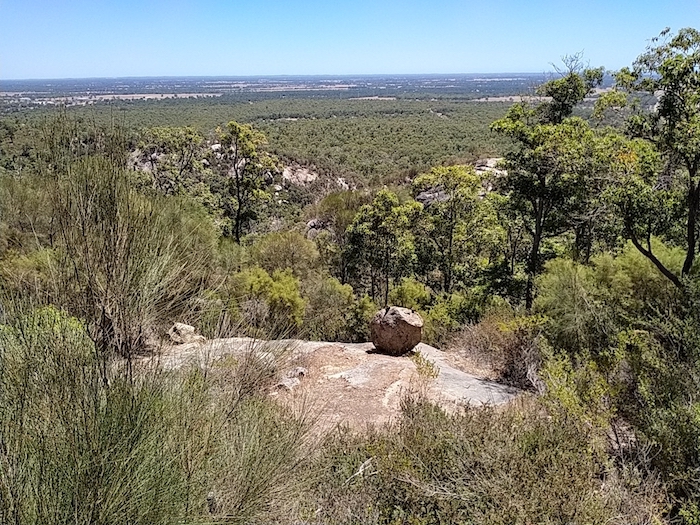View from the Lookout.