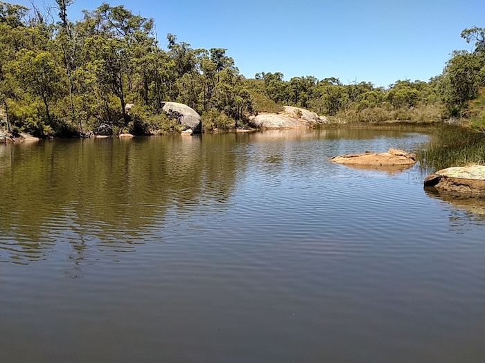 Pool at Oakley Dam.