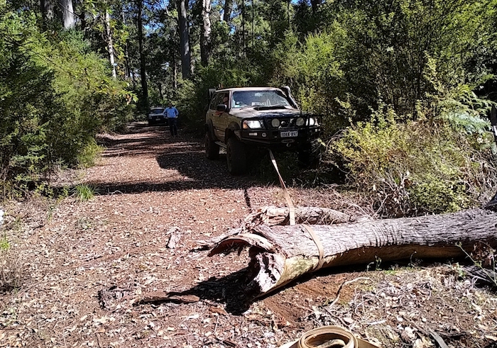 Another log dragged away.