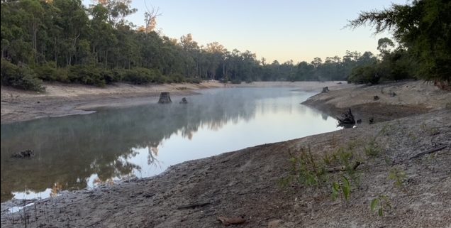 The upper end of Jarrahwood Pool.