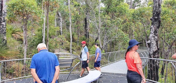 Cliff, Gilbert, Bram and Tania at the Mt Frankland Lookout