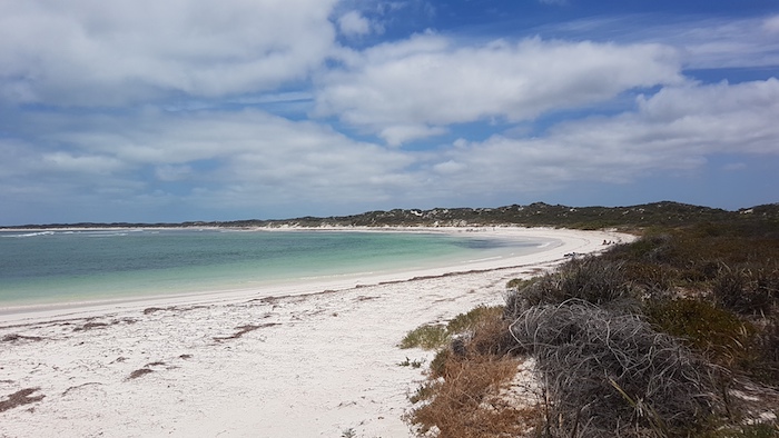 Hangover Bay. Onshore winds had deposited copious amounts of seagrass, detracting from what is normally a spectacular, beautiful white beach. Hangover Bay is part of Nambung National Park and Jurien Bay Marine Park.