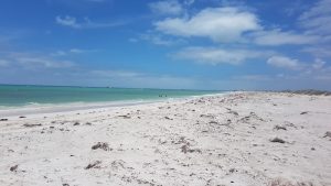 Thirsty Point Beach. Sailors shipwrecked from the American whaler Cervantes started their epic 185km walk to Fremantle from here in 1844.