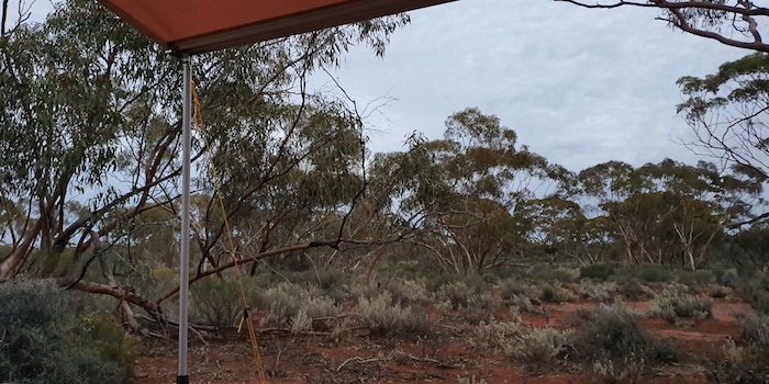 Showers threatening at Cardunia.