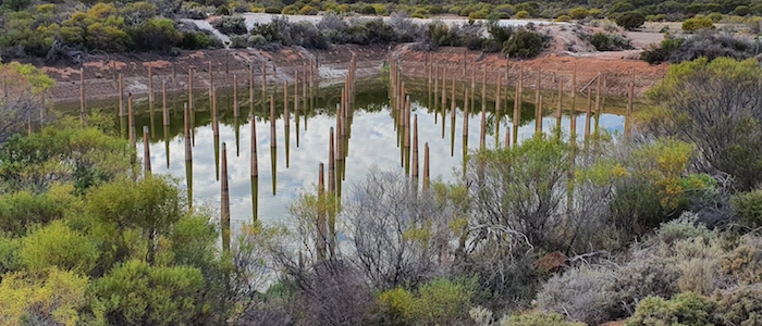 Concrete uprights in the reservoir at Cardunia once supported a corrugated iron roof that reduced evaporation.