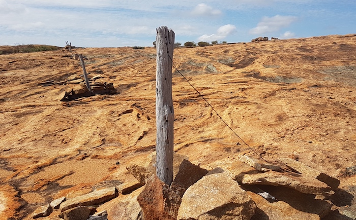 Fence to keep out animals from the reservoir.